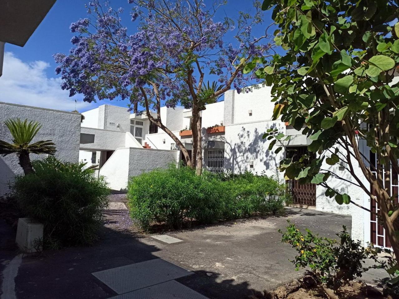 Nice Studio In The South Of Tenerife In The Costa Del Silencio Apartamento Exterior foto